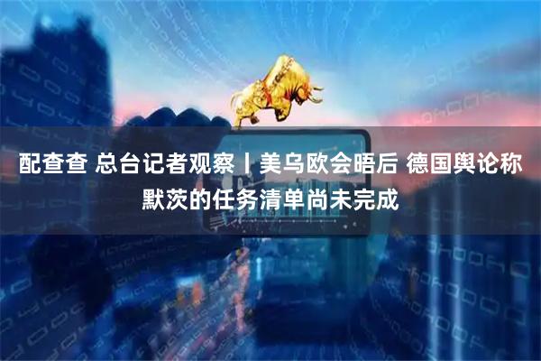 配查查 总台记者观察丨美乌欧会晤后 德国舆论称默茨的任务清单尚未完成