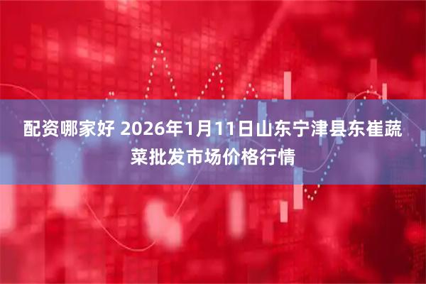 配资哪家好 2026年1月11日山东宁津县东崔蔬菜批发市场价格行情